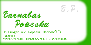 barnabas popesku business card